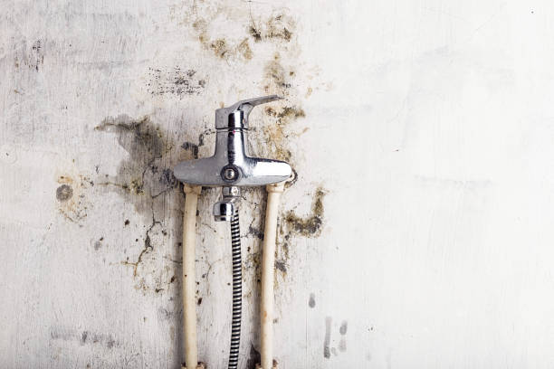 Best Preventive Mold Services in Sharon Center, OH