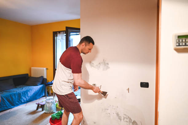 Best Basement Mold Remediation in Sharon Center, OH